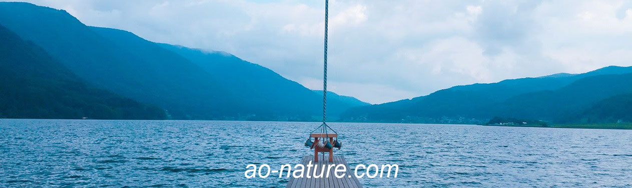 ao-nature.com　